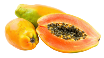 Papaya on branch isolate on transparency background png