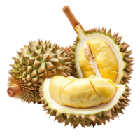 durian fruit whole and a half, clipping path isolate on transparency background png