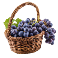 Blue grapes in a basket isolate on transparency background png