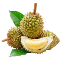 Fresh durian fruit with green leaves, clipping path isolate on transparency background png