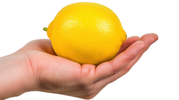 hand holding Lemon, clipping path isolate on transparency background png