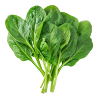 Spinach, clipping path isolate on transparency background png
