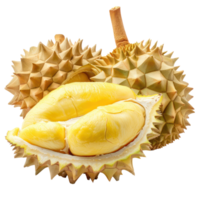 Rich yellow durian flesh isolate on transparency background png