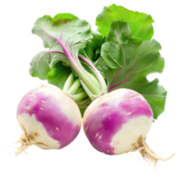 Turnips, clipping path isolate on transparency background png