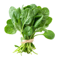 Bunch of Spinach isolate on transparency background png