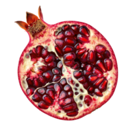 A slice of Pomegranate, clipping path top view isolate on transparency background png