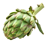 Artichoke portion isolate on transparency background png