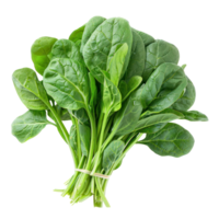 Spinach, clipping path isolate on transparency background png