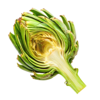 Artichoke portion isolate on transparency background png