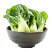 Bok Choy in a bowl front view isolate on transparency background png