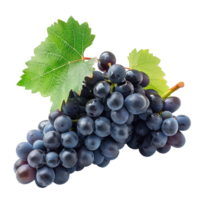 grapes wine front view isolate on transparency background png