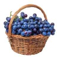 Blue grapes in a basket isolate on transparency background png