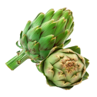 whole and half artichoke front view isolate on transparency background png