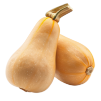Butternut Squash, clipping path isolate on transparency background png