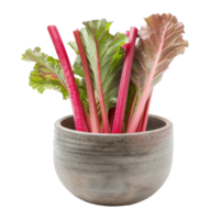 Rhubarb in a bowl front view isolate on transparency background png