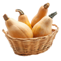 Butternut Squash in basket isolate on transparency background png