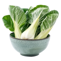 Bok Choy in a bowl front view isolate on transparency background png