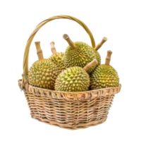 durian fruit in a basket isolate on transparency background png