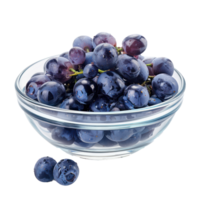 Sliced pieces of Blue grapes in bowl front view isolate on transparency background png