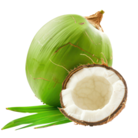 Fresh green coconut with green leaf front view isolate on transparency background png