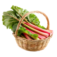 Rhubarb in basket isolate on transparency background png