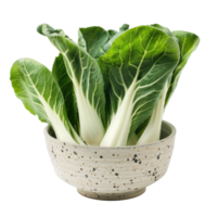 Bok Choy in a bowl front view isolate on transparency background png