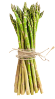 Bundle of asparagus isolate on transparency background png