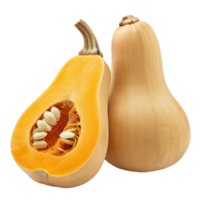 Butternut Squash, clipping path isolate on transparency background png