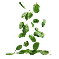 Falling Spinach isolate on transparency background png
