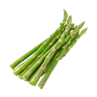 A single of Asparagus isolate on transparency background png