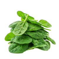 Pile of young spinach leaves isolate on transparency background png