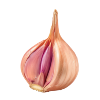 Piece of Shallots isolate on transparency background png