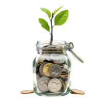 Plant growing from jar full coins, saving and invesment concept side view isolate on transparency background png