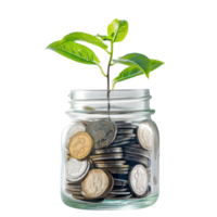 Plant growing from jar full coins, saving and invesment concept front view isolate on transparency background png