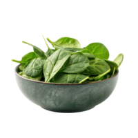 Spinach in a bowl front view isolate on transparency background png