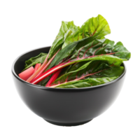 Chard in a bowl front view isolate on transparency background png