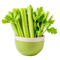 Celery in a bowl front view isolate on transparency background png