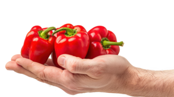 Hand holding Sweet peppers isolate on transparency background png