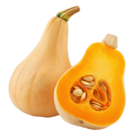 whole and half Butternut Squash isolate on transparency background png