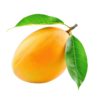 Fresh Mango with green leaves, clipping path isolate on transparency background png