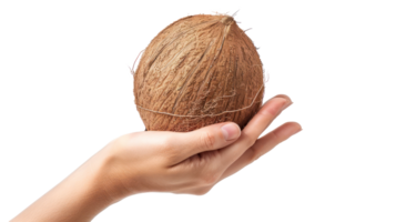 hand holding Coconut, clipping path isolate on transparency background png
