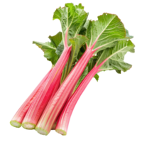 Rhubarb, clipping path isolate on transparency background png