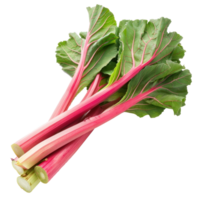 Rhubarb, clipping path isolate on transparency background png