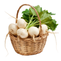 Turnips in basket isolate on transparency background png