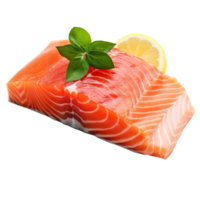 Piece of salmon isolated on transparent background png