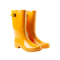 Rain Boot isolated on transparent background png