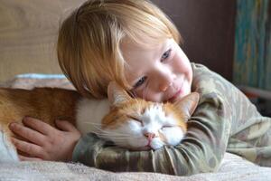 Portrait of a child aged four years old whit sleeping red cat photo