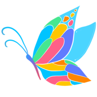 A colorful butterfly on a transparent background png