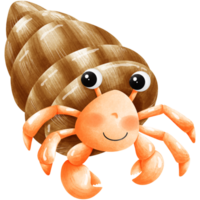 Colorful creatures of the ocean png