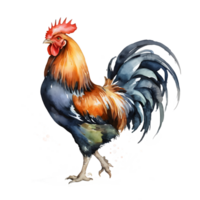 A detailed watercolor illustration of a rooster, showcasing vibrant colors and soft, textured strokes. png